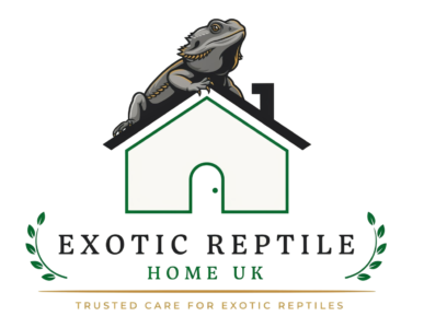 Reptiles for sale uk