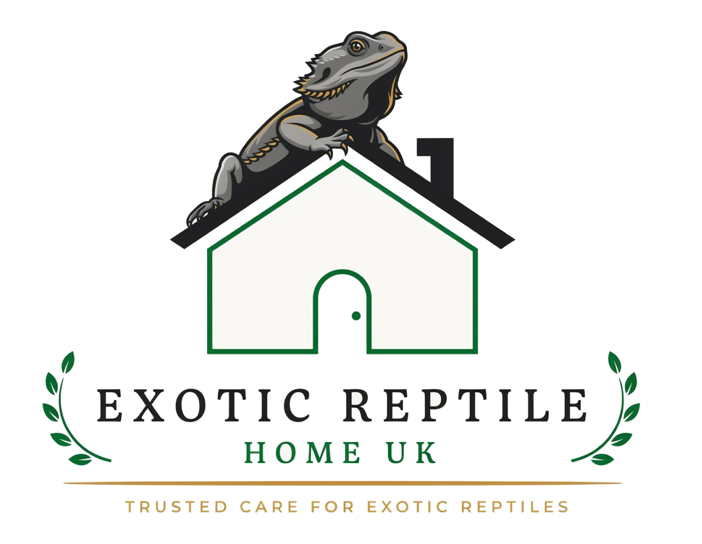 Reptiles for sale uk